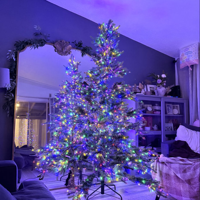 The Holiday Aisle® Vibrant Evergreen Fir Pre-Lit Green Full Fir